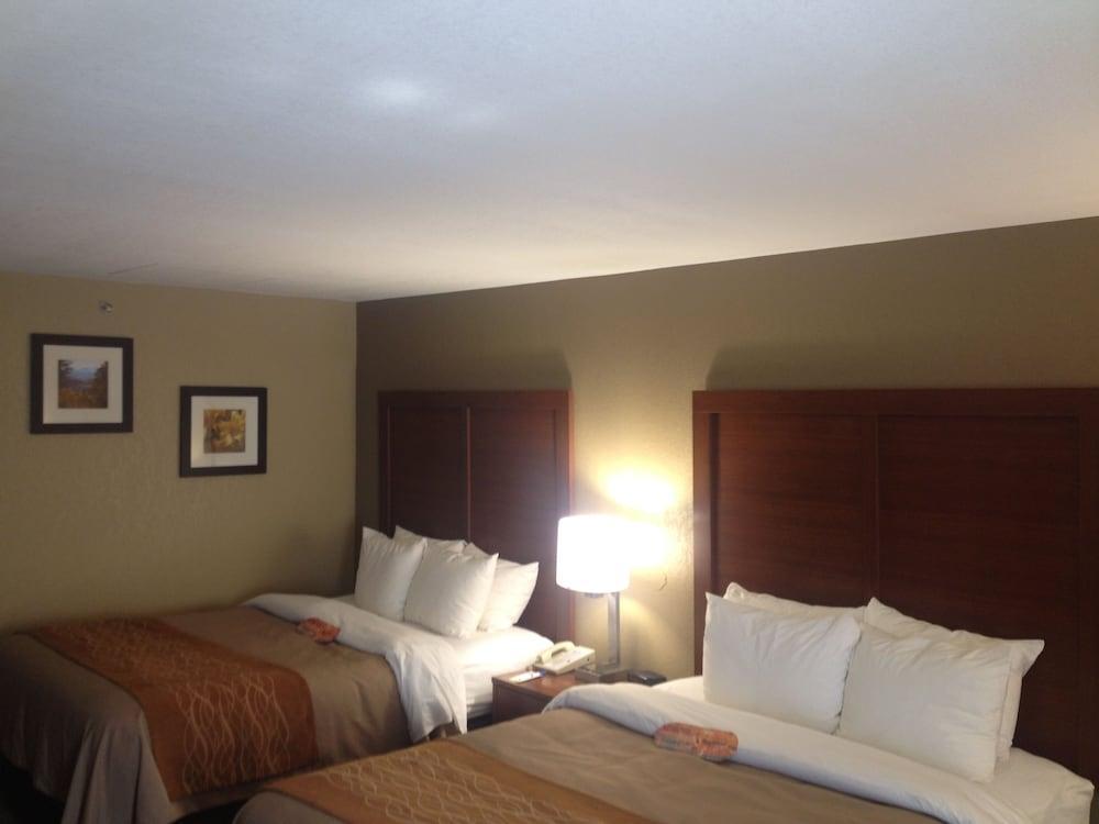 Comfort Inn Biltmore West Эшвилл Экстерьер фото